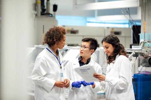 Joint Labs